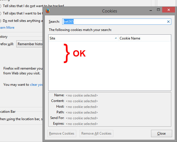 delete-cookie-firefox-04.jpg